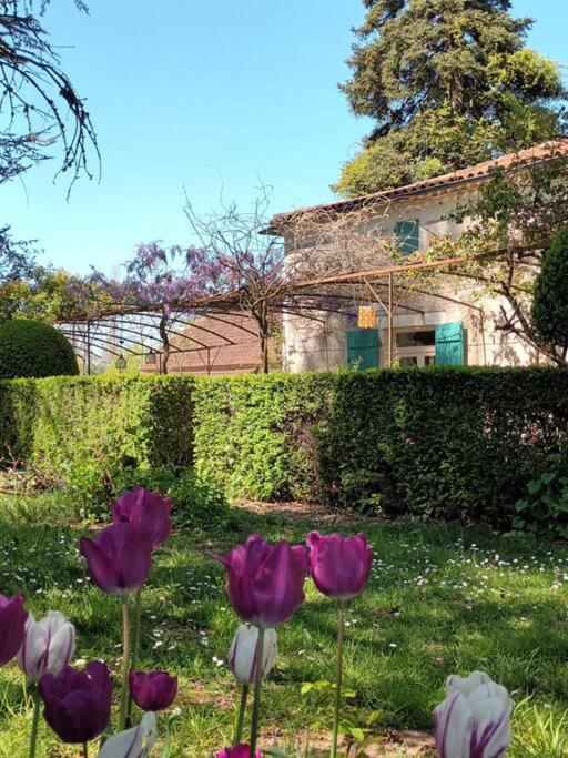 Charmant Studio Avec Jardin A La Campagne Sur Le Chemin De Saint Jacques De Compostelle Apartment Lauzerte Ngoại thất bức ảnh